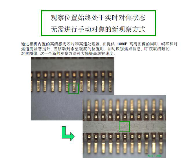 HDMI-200ZD 自動對焦相機 攝像頭 CCD HDMI高清攝像頭 實時對焦