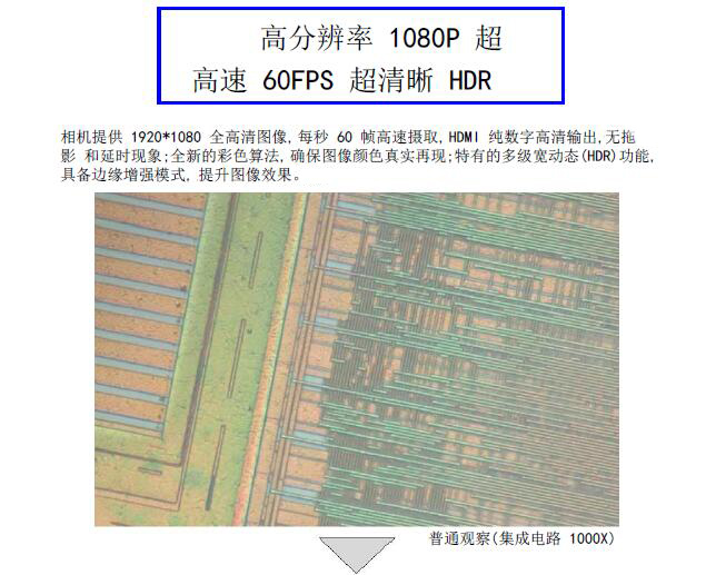 HDMI-200ZD 自動對焦相機 攝像頭 CCD HDMI高清攝像頭 實時對焦